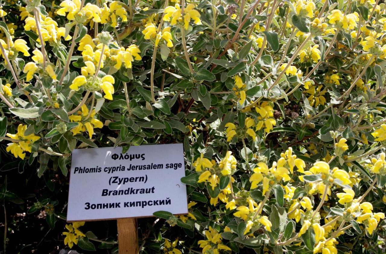Polis Herb Garden Ngoại thất bức ảnh